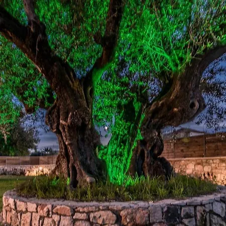 Stone * Kalamaki (Zakynthos)